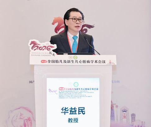 图片4